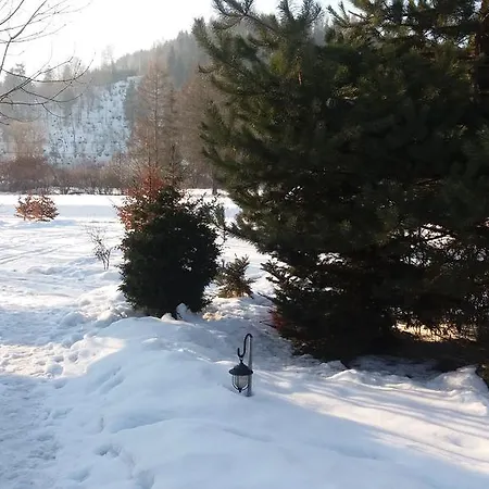 Powroznik 94 Проживание в семье