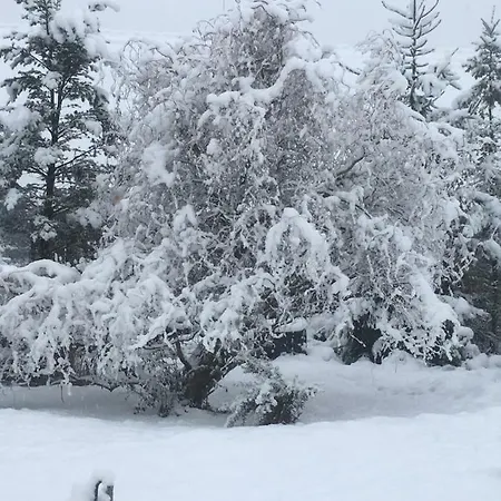 Проживание в семье Powroznik 94 *